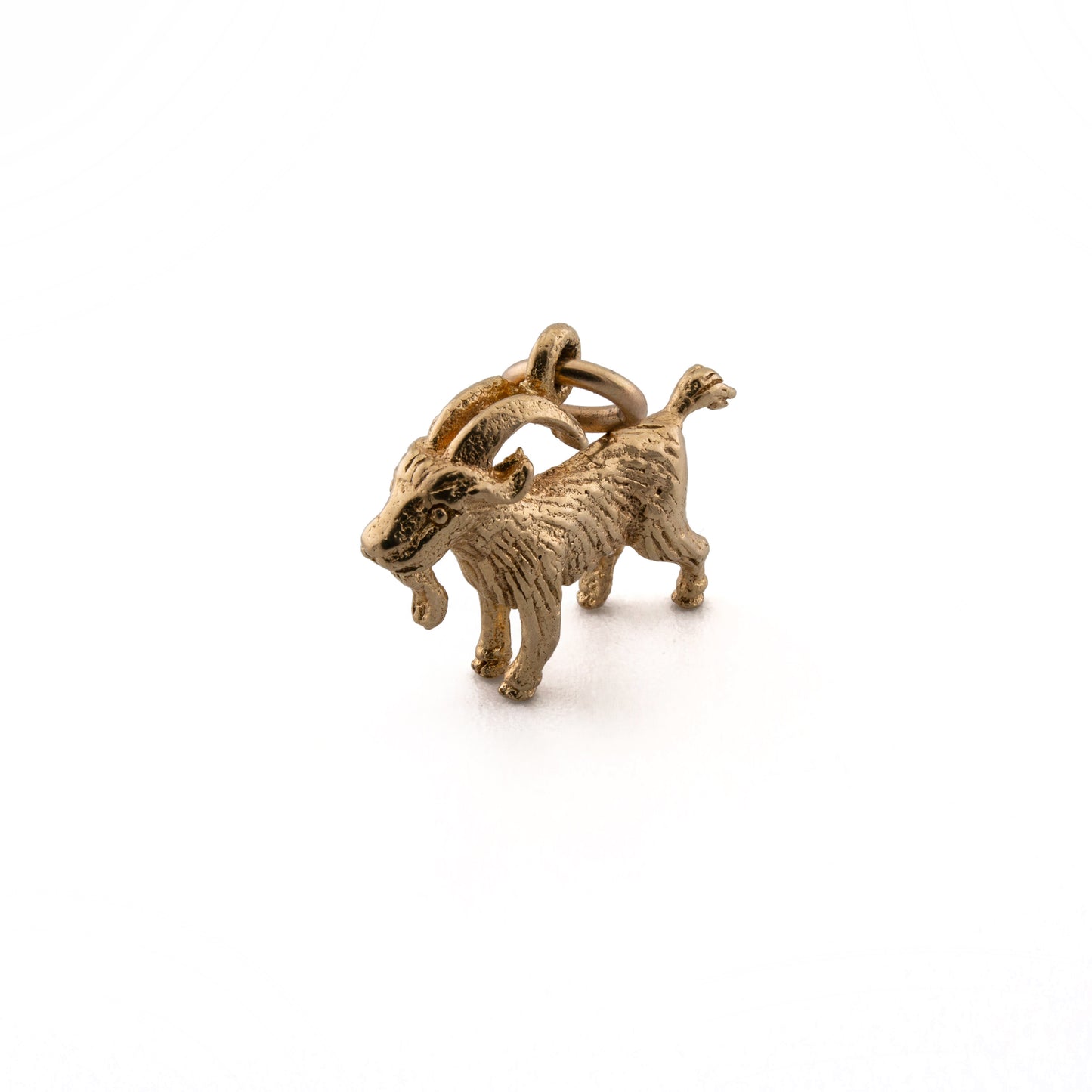 Capricorn Charm