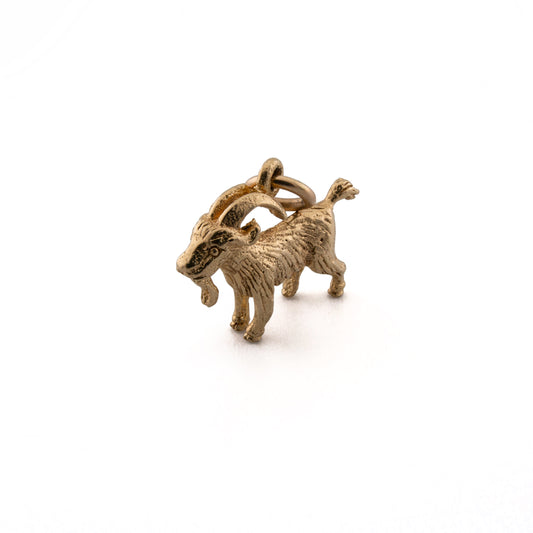 Capricorn Charm