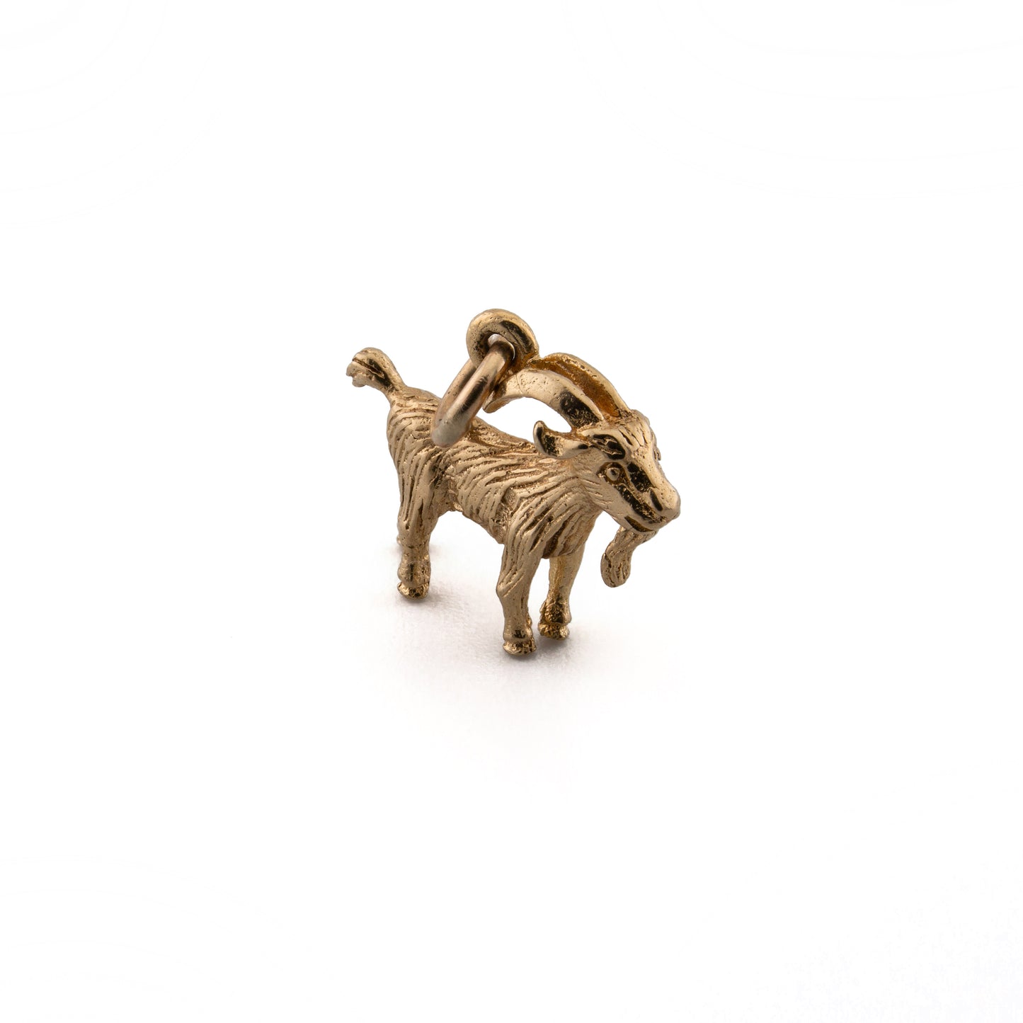 Capricorn Charm