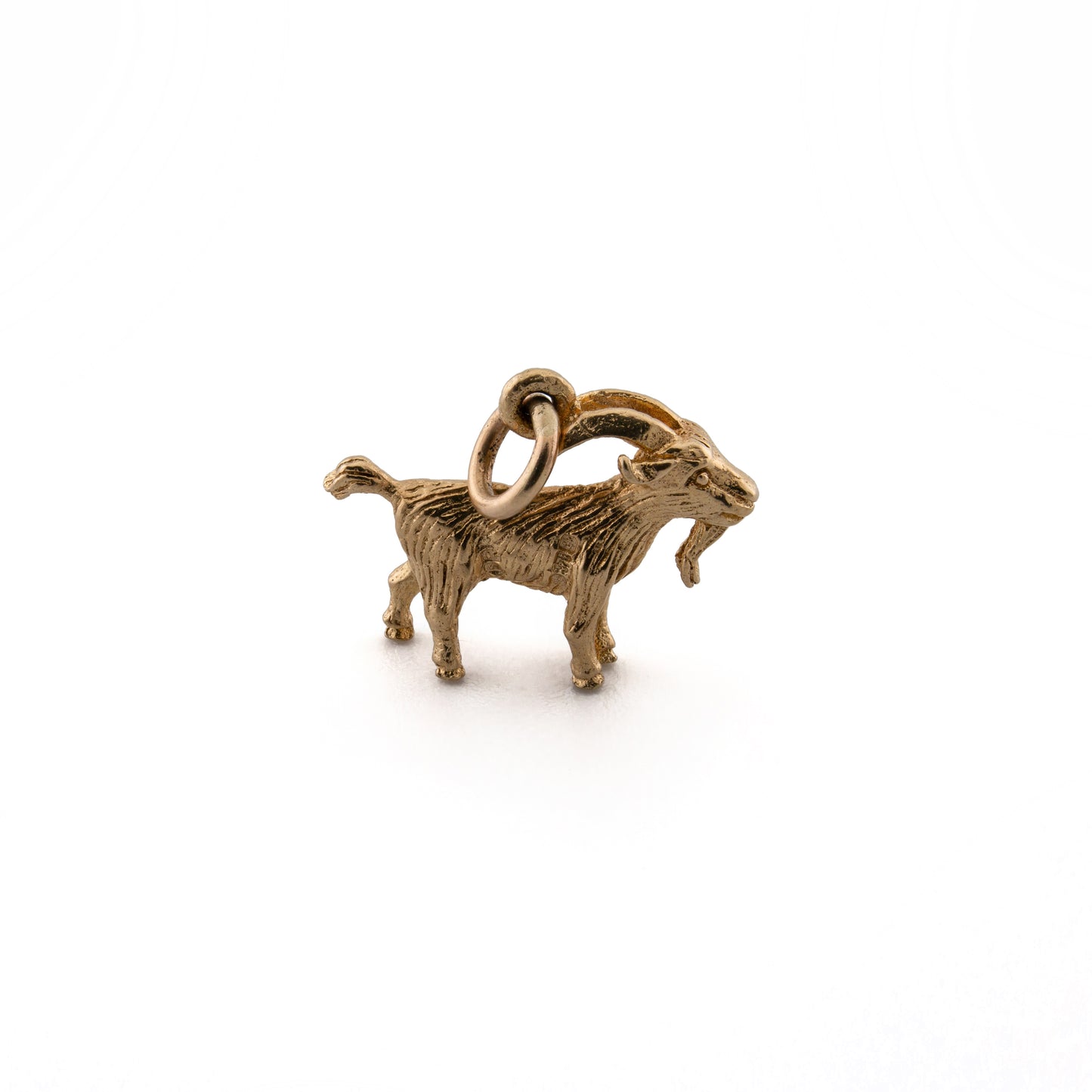 Capricorn Charm